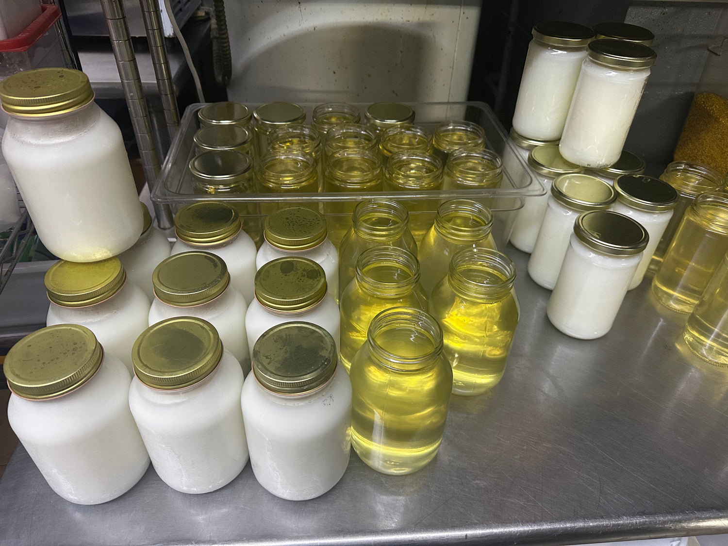 Beef tallow being rendered into jars before and after cooling down.